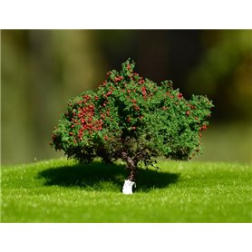 Freon Drzewko Jabłoń 3-4cm