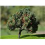 Freon Drzewko Jabłoń 6-8cm