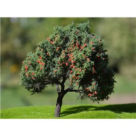 Freon Drzewko Jabłoń 6-8cm