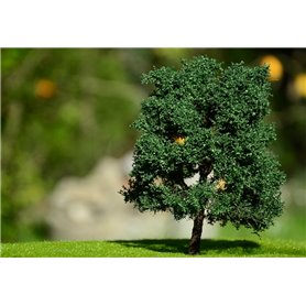 Freon Drzewko Kasztan 14-16cm