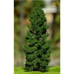 Freon Drzewko Modrzew Europejski – pień niski 14-16cm
