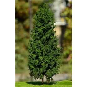 Freon Drzewko Modrzew Europejski – pień niski 8-12cm