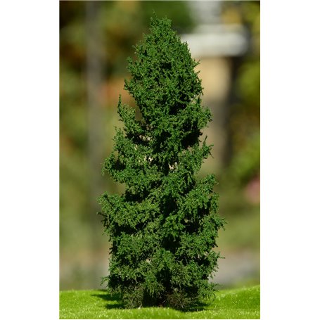 Freon Drzewko Modrzew Europejski – pień niski 25-30cm