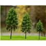 Freon Drzewko Modrzew Europejski – pień wysoki 18-20cm