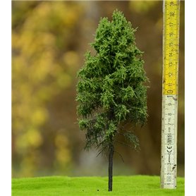 Freon Drzewko Modrzew Europejski – pień wysoki 25-30cm
