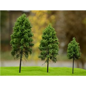 Freon Drzewko Modrzew Europejski – pień wysoki 25-30cm