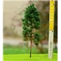 Freon Drzewko Sosna dorosła 14-16cm