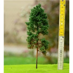 Freon Drzewko Sosna dorosła 14-16cm