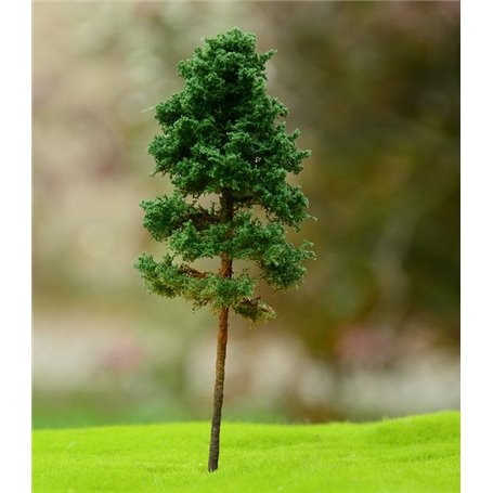 Freon Drzewko Sosna dorosła 8-12cm