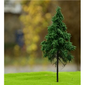 Freon Drzewko Świerk Pospolity wysokopienny 25-30cm