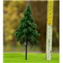 Freon Drzewko Świerk Pospolity wysokopienny 25-30cm