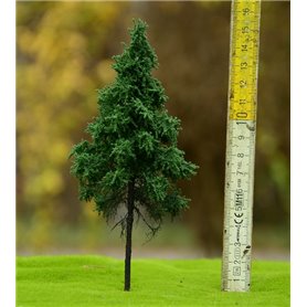 Freon Drzewko Świerk Pospolity wysokopienny 25-30cm