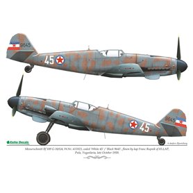 Exito Decals 1:48 Kalkomanie do Messerschmitt Bf-109 G-10/U-4 - THE LAST IN LINE