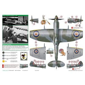 Exito Decals 1:72 Kalkomanie do Supermarine Spitfire FR Mk.XIVe - SWEET FOURTEENS
