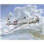 Special Hobby 48085 Blackburn Skua Mk.II Silver Finish