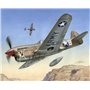 Special Hobby 72155 P-40 F Warhawk "Short Tails over Africa"