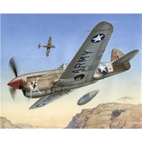 Special Hobby 72155 P-40 F Warhawk "Short Tails over Africa"