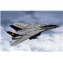 Trumpeter 03918 F-14B Tomcat