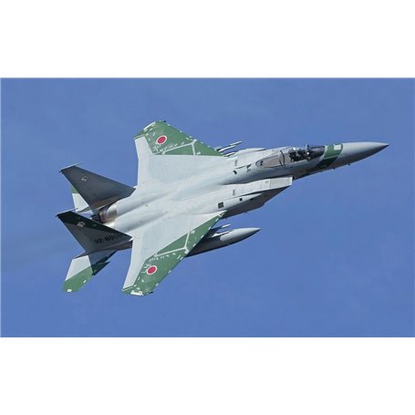 Fujimi 311180 1/48 F15-J Tactical Fighter Training Group Aggressor 908