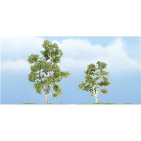Woodland WTR1603 Premium Trees 2 1/4 3" Prem Syca
