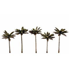 Woodland WTR3597 Drzewka - 3-3 3/4 Sm Palm Trees 5