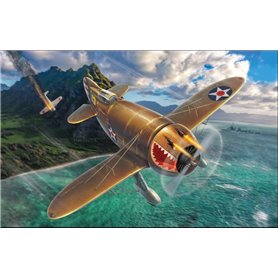 Dora Wings 48010 Granville P-45B Bee Killer ( What If )