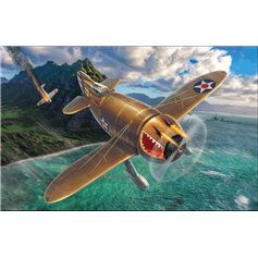 Dora Wings 1:48 Granville P-45B Bee Killer - WHAT IF 