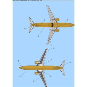 Big Model Vinci 144001 Kalkomania Boeing 737-400 "Wspólna Sprawa" 1/144