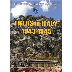 Trojca TIGERS IN ITALY 1943-1945 - nr.41