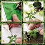 Green Stuff World Roślinność wycięta z papieru PAPER PLANTS - NINFEA