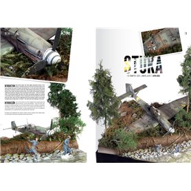 WRECKED PLANES