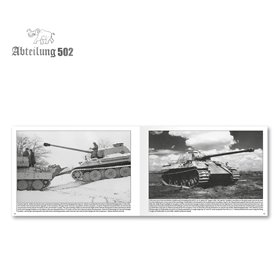 Panther external appearance