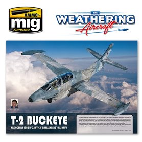 The Wathering Aircraft 1: Panels EN