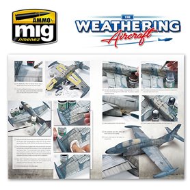 The Wathering Aircraft 1: Panels EN