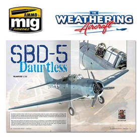 The Wathering Aircraft 6 (EN)