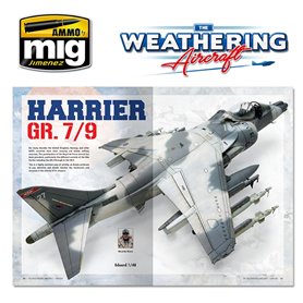 The Wathering Aircraft 12 - EN