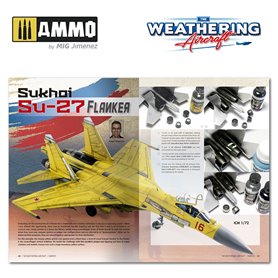 The Wathering Aircraft 16- EN