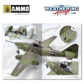 The Wathering Aircraft 16- EN