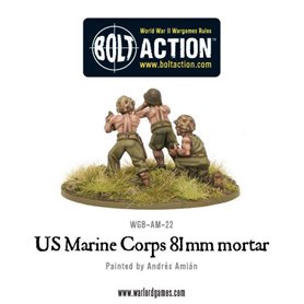 Bolt Action USMC 81mm mortar