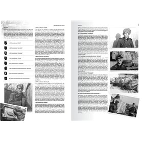 AK Interactive WWII GERMAN MOST ICONIC SS VEHICLES. VOL