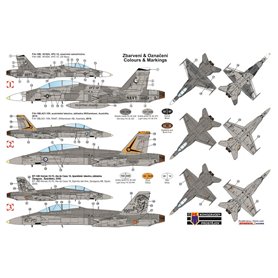 Kopro 0164 F-18B