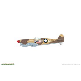 Eduard 1:48 EAGLE'S CALL - Supermarine Spitfire Mk.Vb / Mk.Vc - DUAL COMBO - LIMITED edition