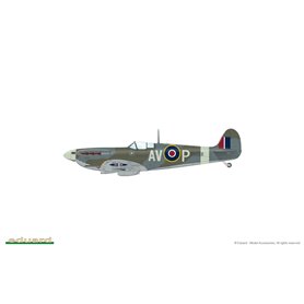 Eduard 1:48 EAGLE'S CALL - Supermarine Spitfire Mk.Vb / Mk.Vc - DUAL COMBO - LIMITED edition