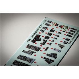 Eduard 1:48 F-14A SPACE dla Tamiya