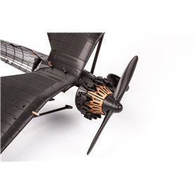 Eduard 1:48 PZL P.11c dla Arma Hobby