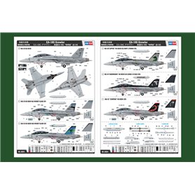 Hobby Boss 1:48 EA-18G Growler