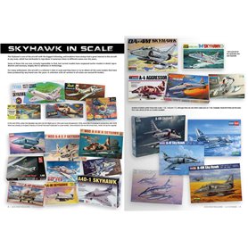 AK Interactive ACES HIGH: SKYHAWK