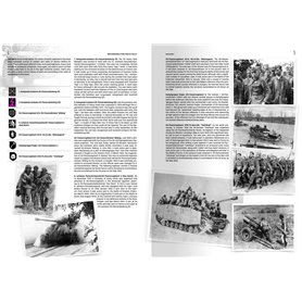 AK Interactive WWII GERMAN MOST ICONIC SSVEHICLES. VOL
