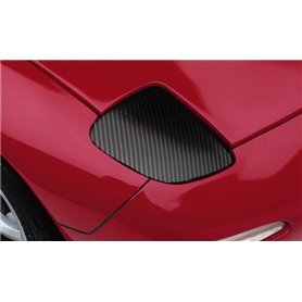 Hasegawa TF10 CARBON FISIH 12
