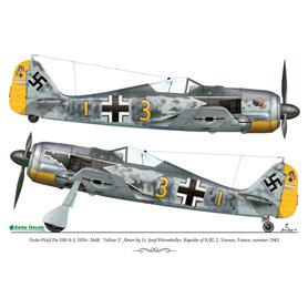 Exito DECALS 1:48 Focke Wulf Fw-190 - WULF PACK - VOL.2
